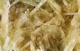 Yellow Barite Crystal Cluster - Peru #64140-2
